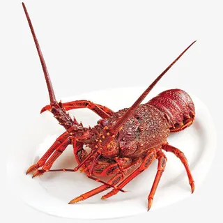 美味小龙虾免抠