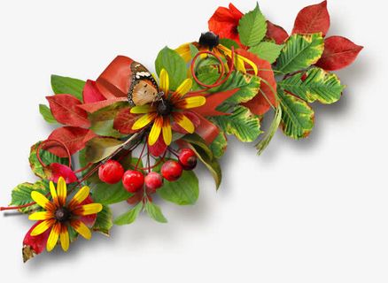 山楂鲜花边框免抠