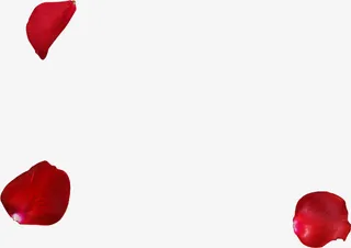 红色妖艳玫瑰花瓣飘落免抠