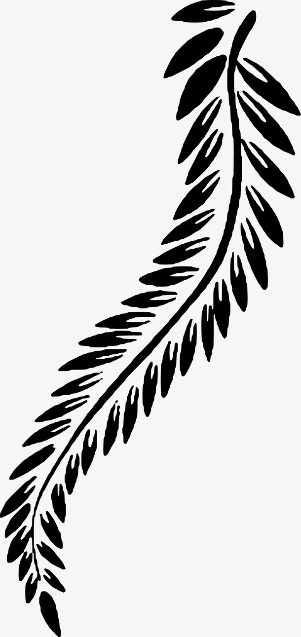 手绘树枝免抠