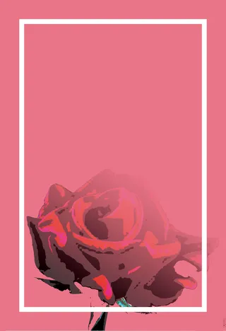 粉色玫瑰时尚简约背景高清