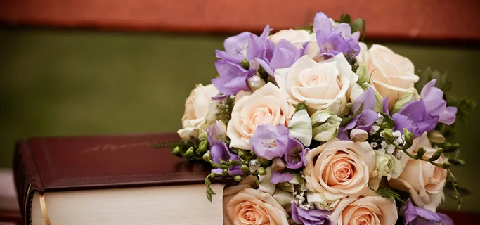 鲜花 花朵 植物 背景高清