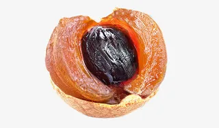 带核桂圆果肉素材免抠