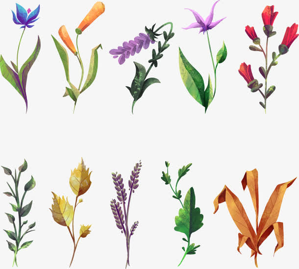 手绘春天花卉免抠