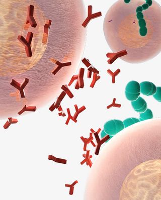 免疫系统糖原蛋白免抠