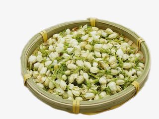 茉莉花苞花茶免抠