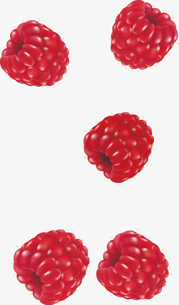 红色树莓免抠
