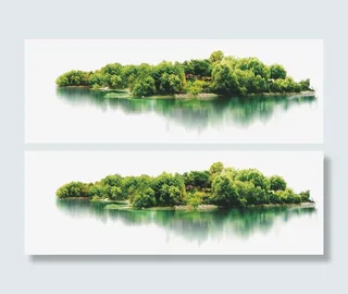 水岸树林免抠