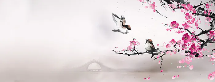 中国风梅花小鸟树枝背景高清