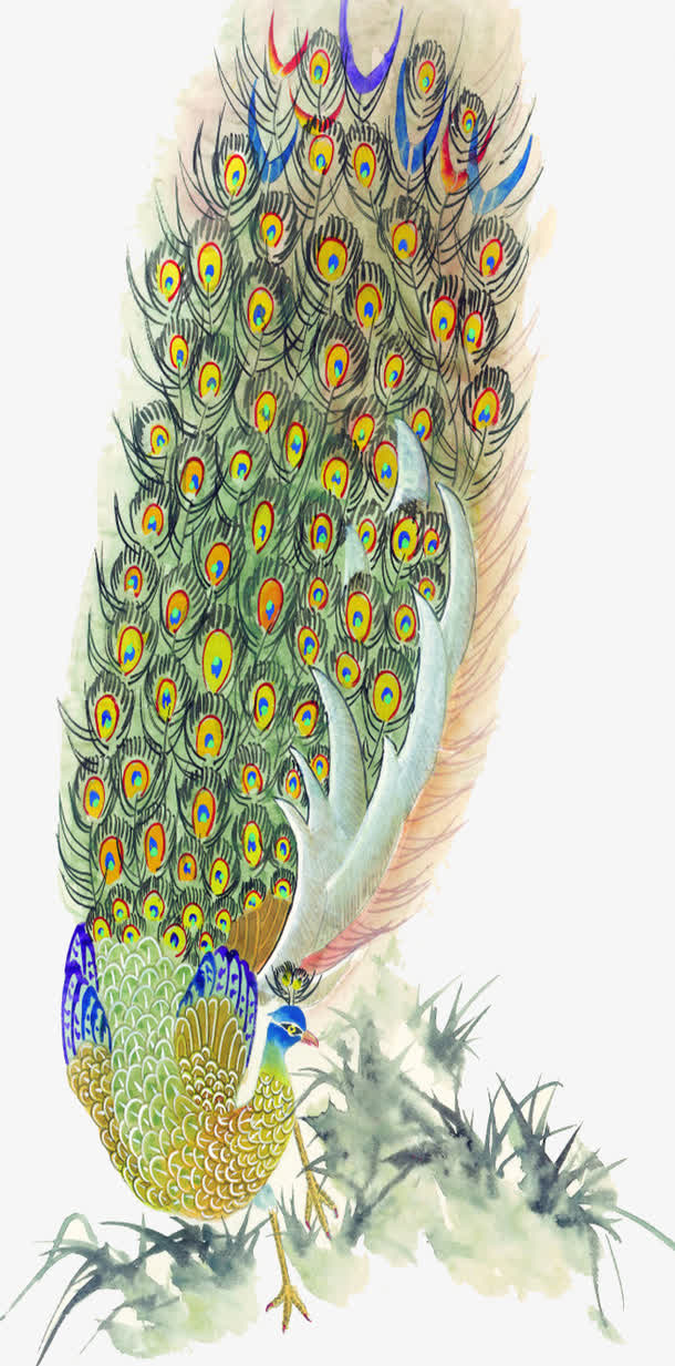孔雀羽毛免抠