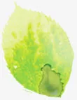 手绘绿色春季水彩树叶免抠