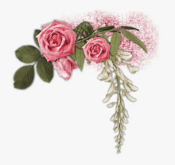花瓣花朵免抠