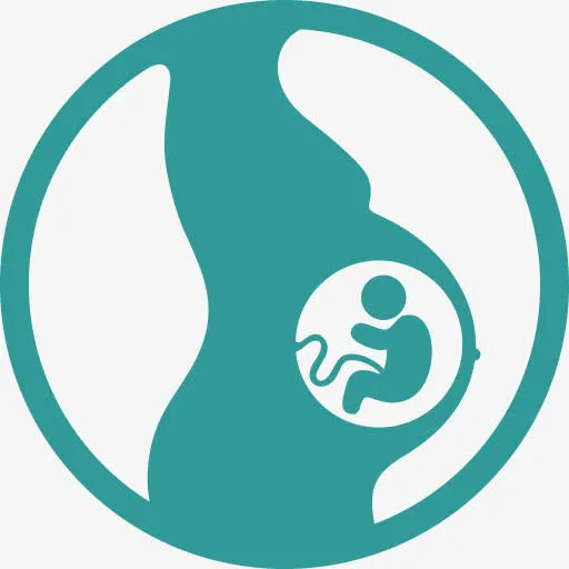 胎儿妊娠怀孕孕妇医学免抠