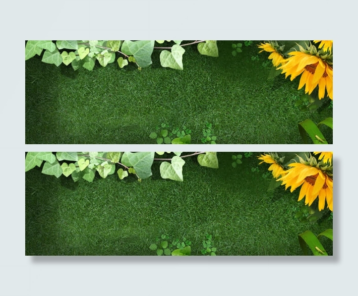 向日葵草地海报背景免抠