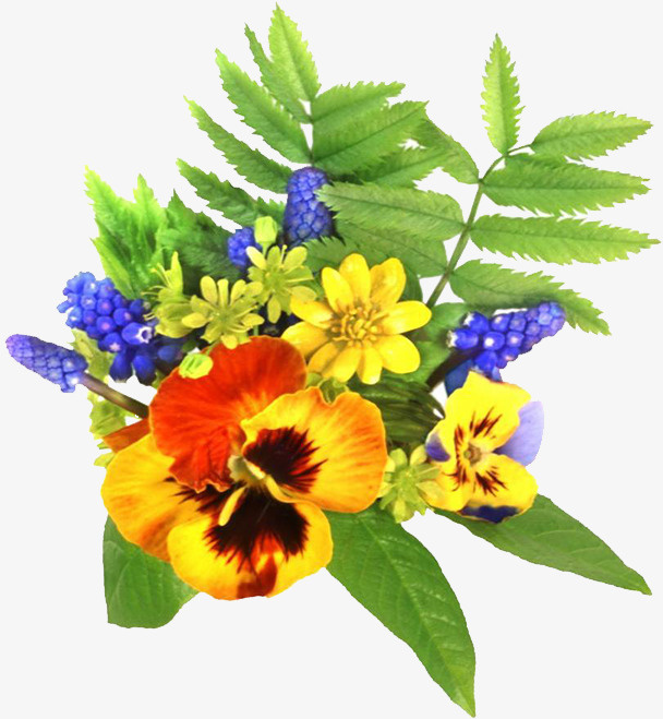 黄色花朵树枝免抠