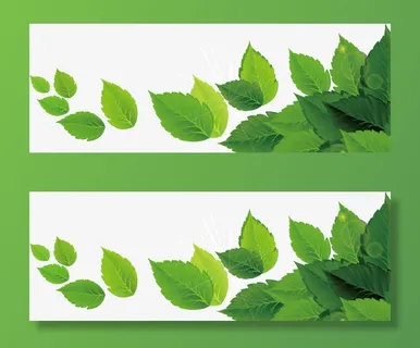 飘逸绿叶免抠漂浮叶子元素