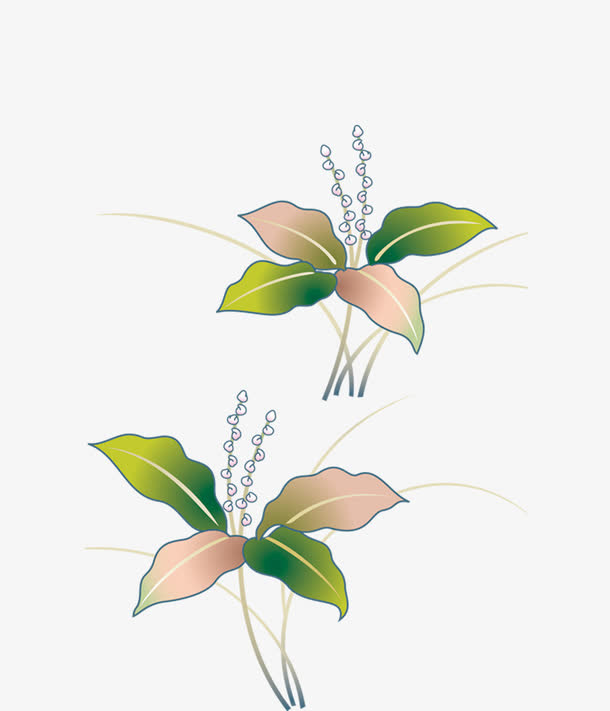 抽象花纹免抠