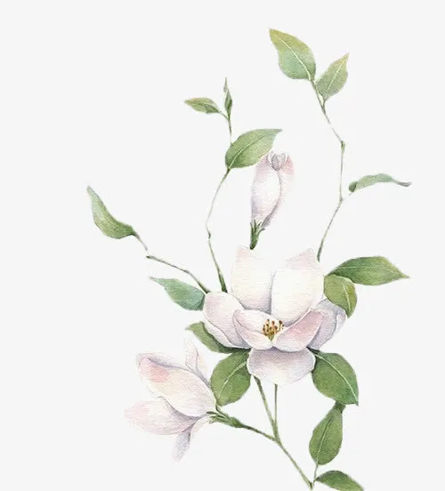 中国风水彩花朵花叶免抠