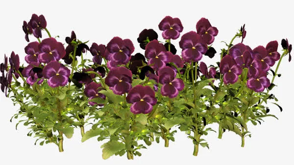 绿植花卉水彩花草素材免抠