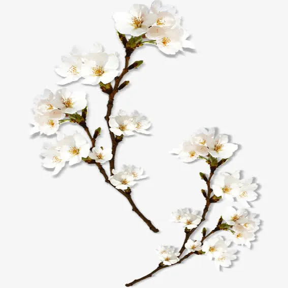 桃花迎春免抠