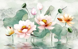 荷花 荷叶 蜻蜓 莲蓬高清