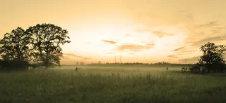 梦幻日落草原海报背景高清