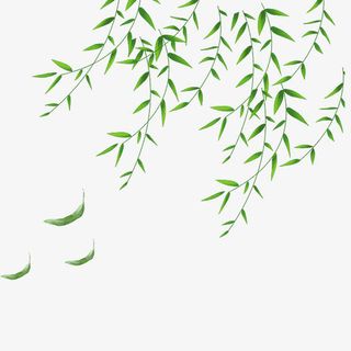 清明节水墨风风中的柳叶免抠手绘/卡通卡通元素
