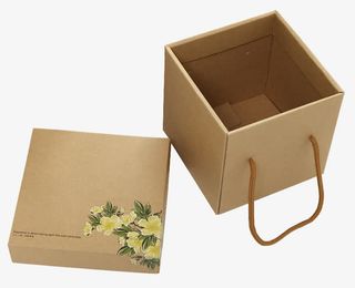 土特产水果手提牛皮纸包装免抠