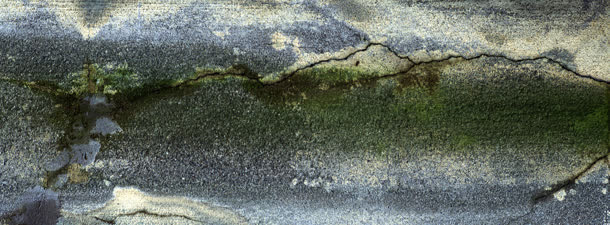 岩石绿衣纹理背景banner