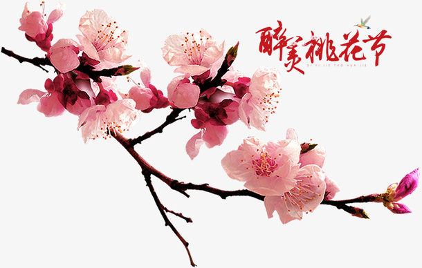 春天桃花节桃花图案免抠动植物植物元素