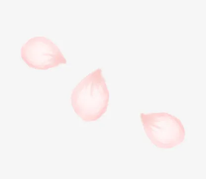 三片飘零花瓣免抠