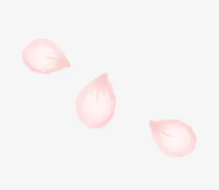 三片飘零花瓣免抠