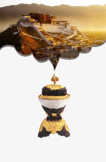 西藏布达拉宫主页免抠