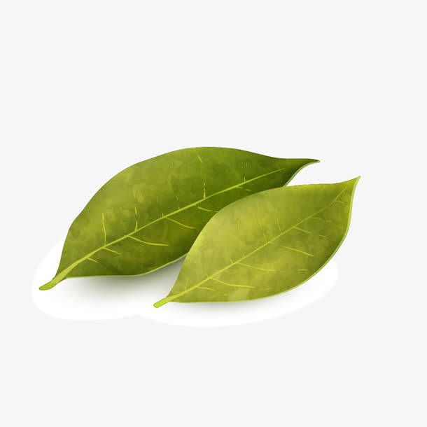 双片树叶免抠