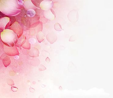 38妇女节小清新玫瑰花瓣背景免抠