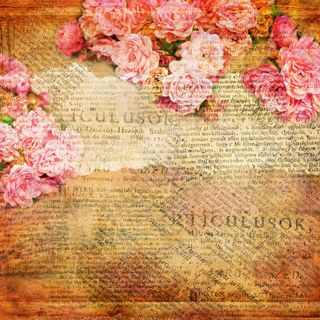 玫瑰花报纸背景