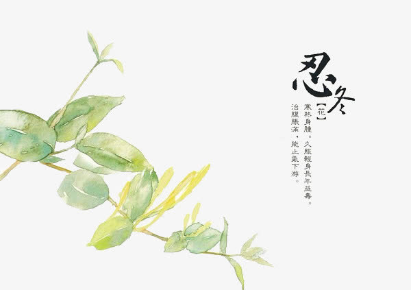 手绘中医中药素材免抠