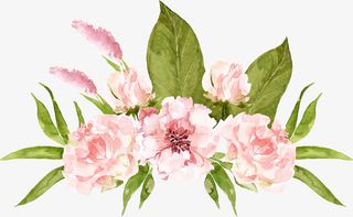 文艺清新花草海报设计装饰免抠