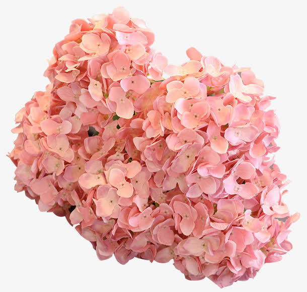 仿真家居装饰花粉色花球免抠