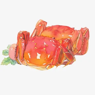 大闸蟹手绘画素材图片免抠