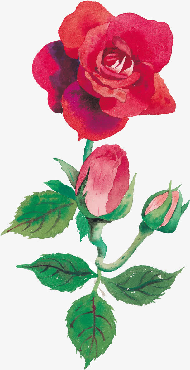 花卉免抠