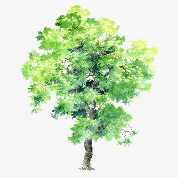 绿色年华图片素材免抠