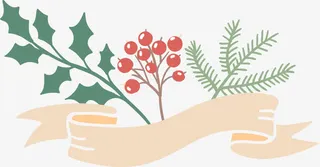 圣诞节植物丝带装饰免抠