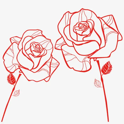 玫瑰花蕾免抠