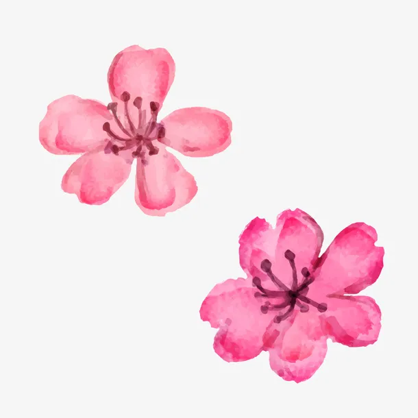 水彩花朵唯美春季樱花桃花素材免抠手绘/卡通手绘元素