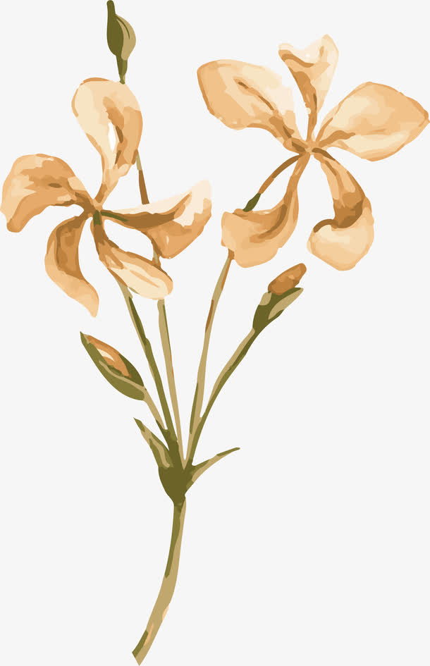 手绘黄花PNG下载免抠