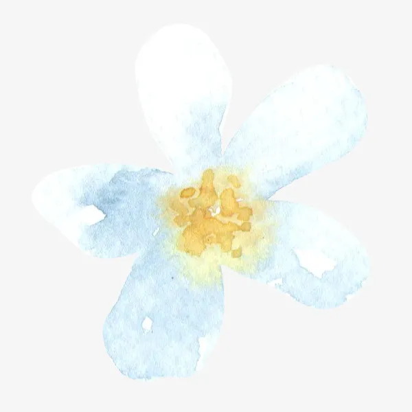 手绘漂浮的白色花朵免抠