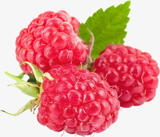 覆盆子水果免抠