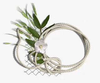 卡通素材卡通相框图片免抠