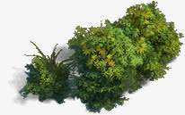 绿色植物免抠
